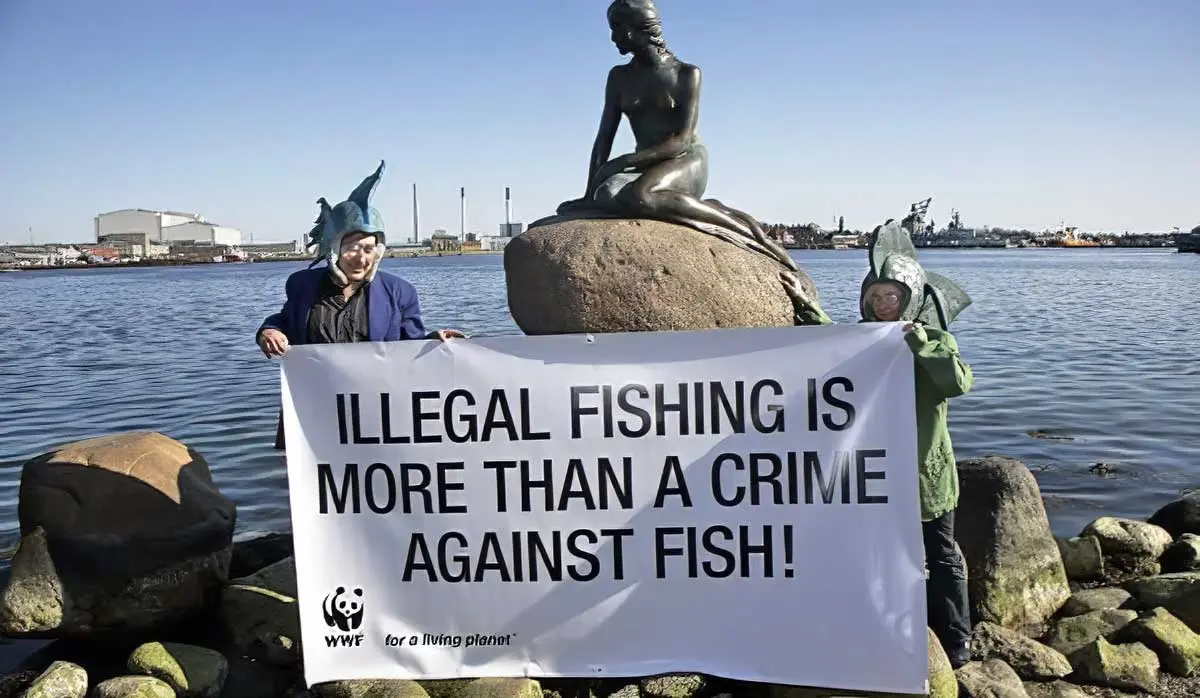 illegalfishingWORLDWILDLIFEFOUNDATION