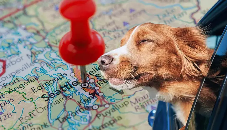 pet friendly places for dogs in seattle