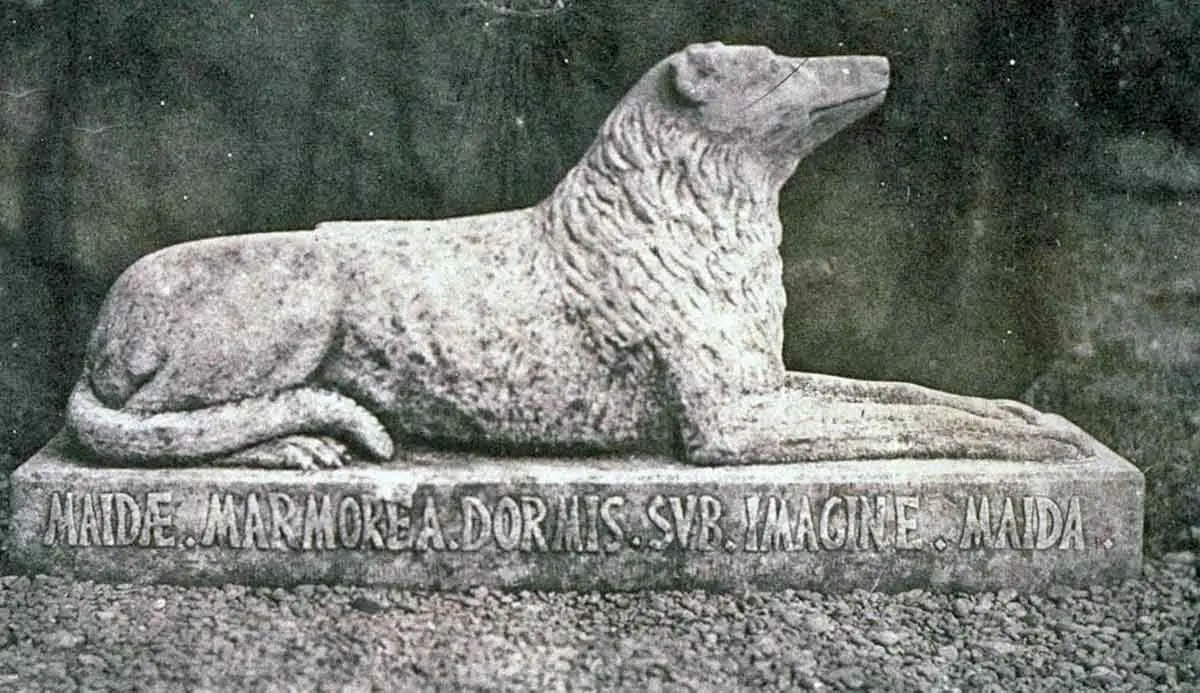 deerhound statue