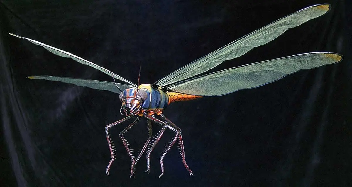 rendering of a Meganeuropsis Permiana