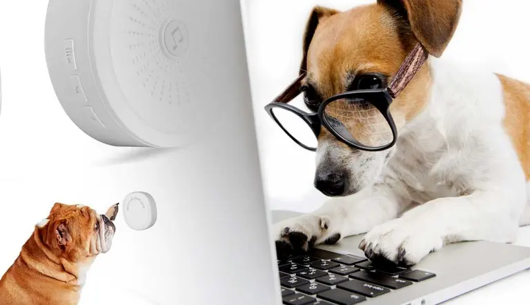 best pet tech devices for dogs