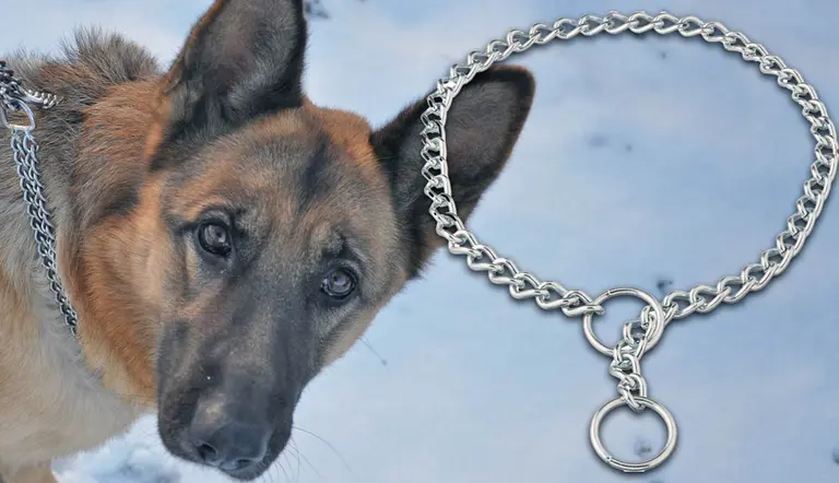 can choke chains harm dogs