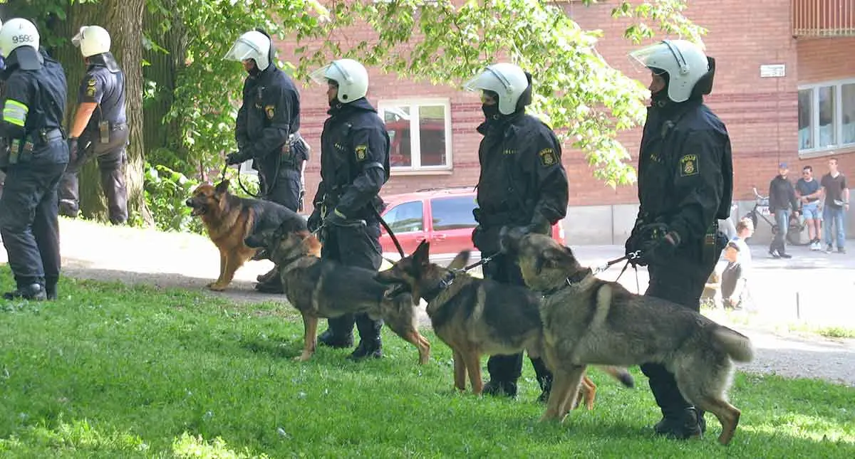 swedish police dogs
