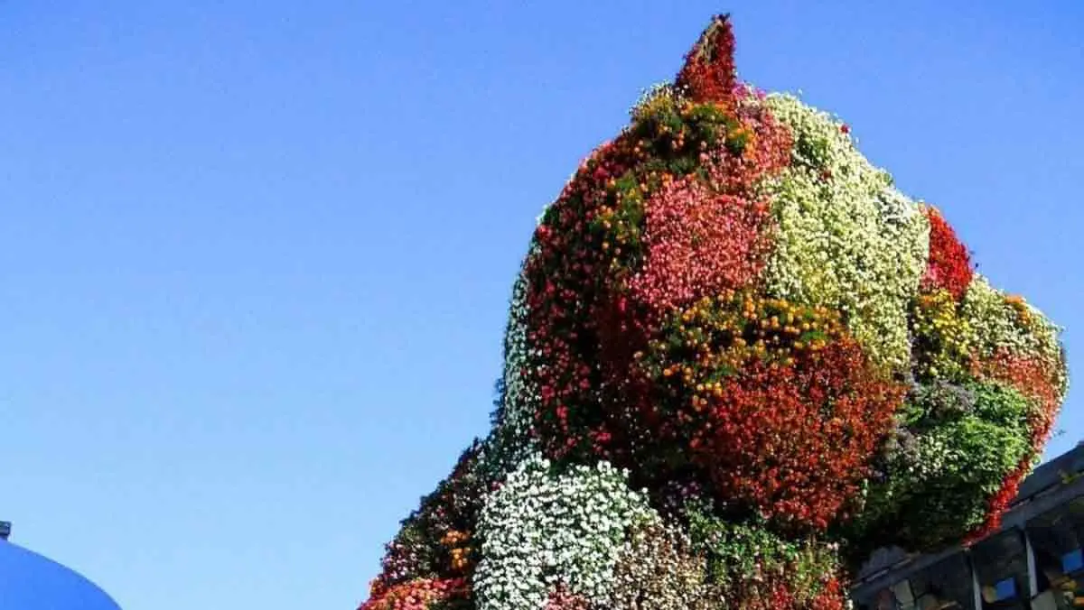 dog plant sculpture spain