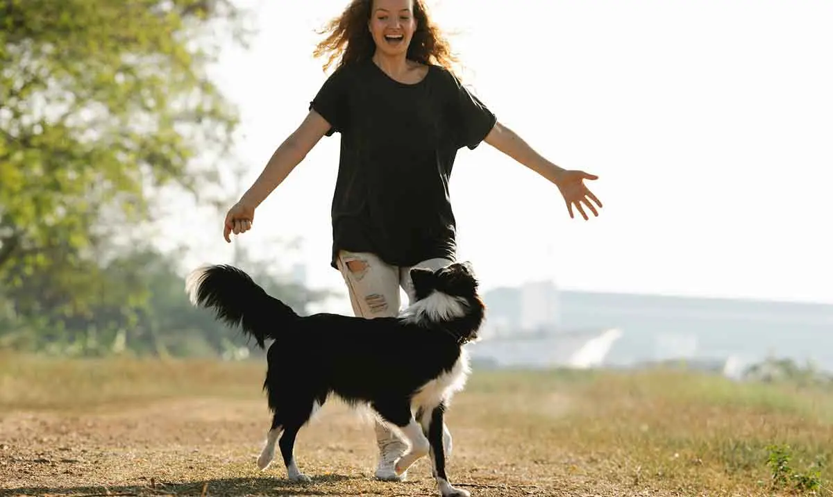 border collie running with woman