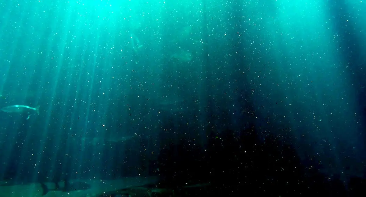 deep sea open ocean eery