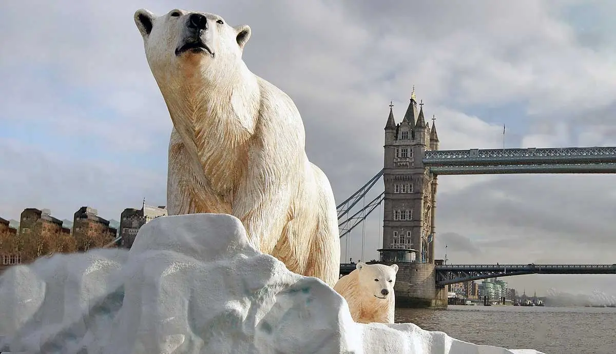 HenryIII polar bear thames London
