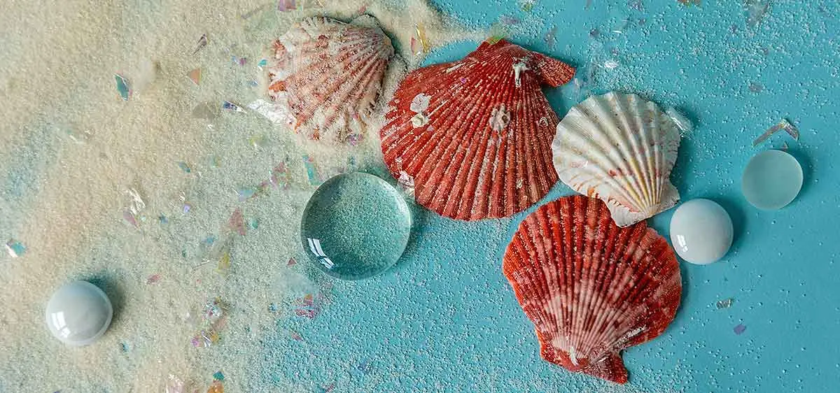 red seashells water droplet