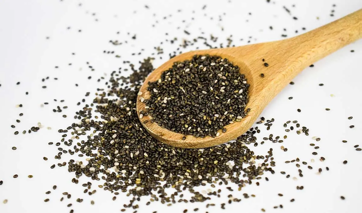 chia seeds good for dogs