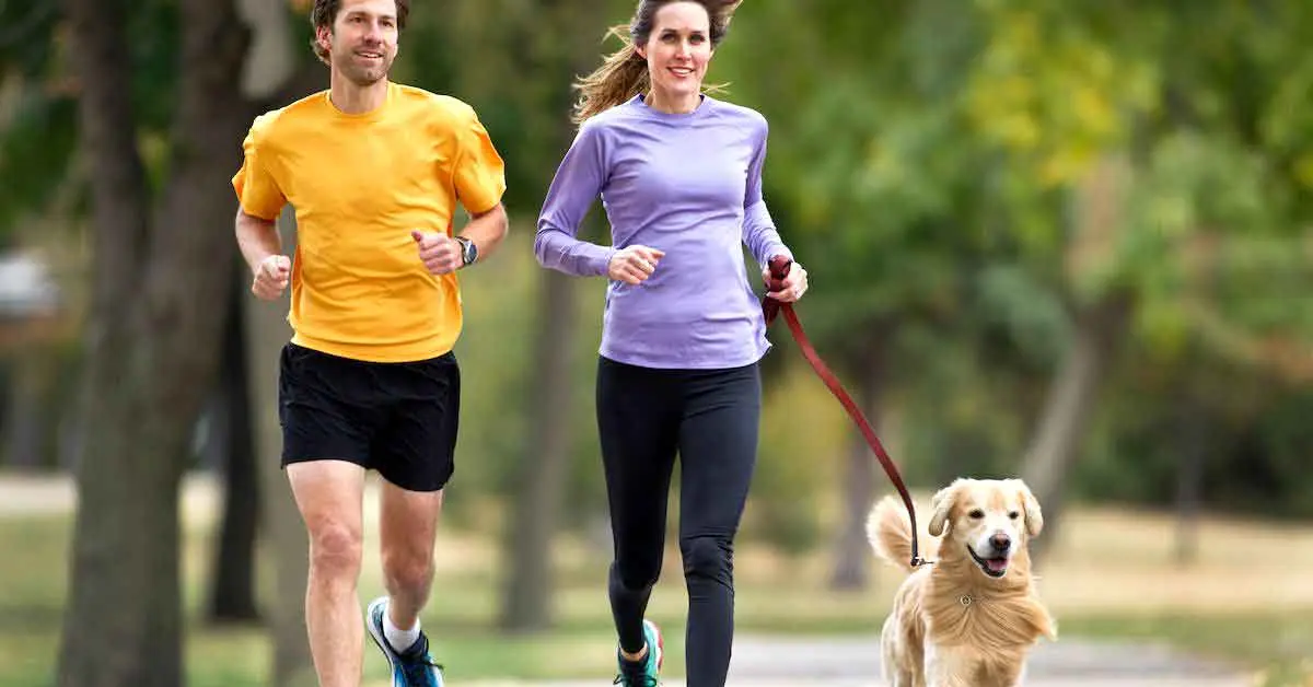dog running with couple