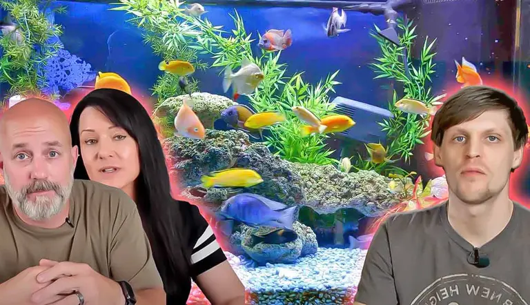 youtubers fish owners should follow