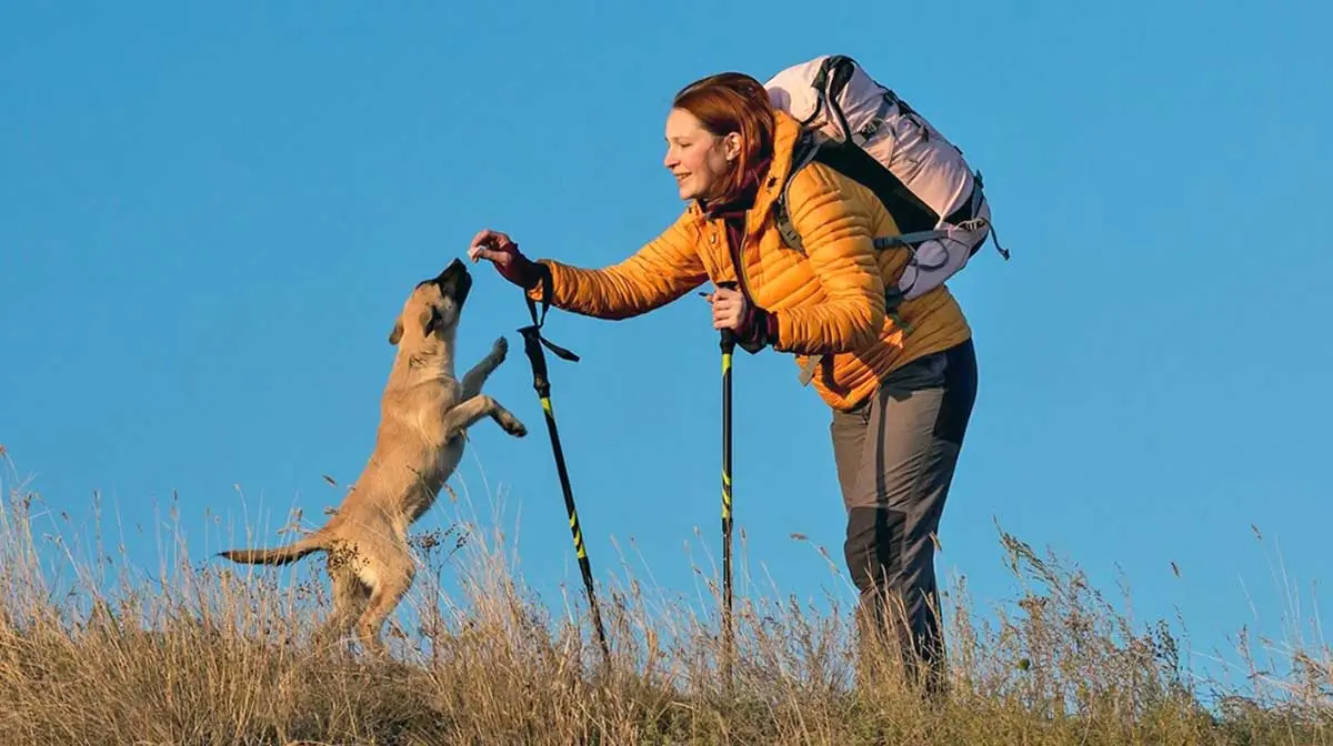 dog training hiking trail