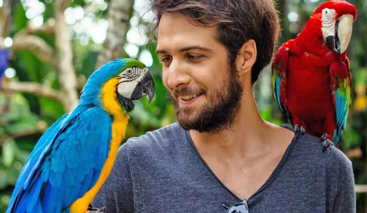 young man and two parrots