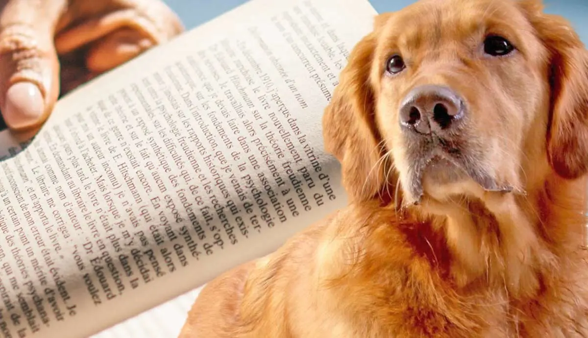 books where the dog survives at the end