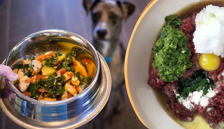 easy diy meals for dogs