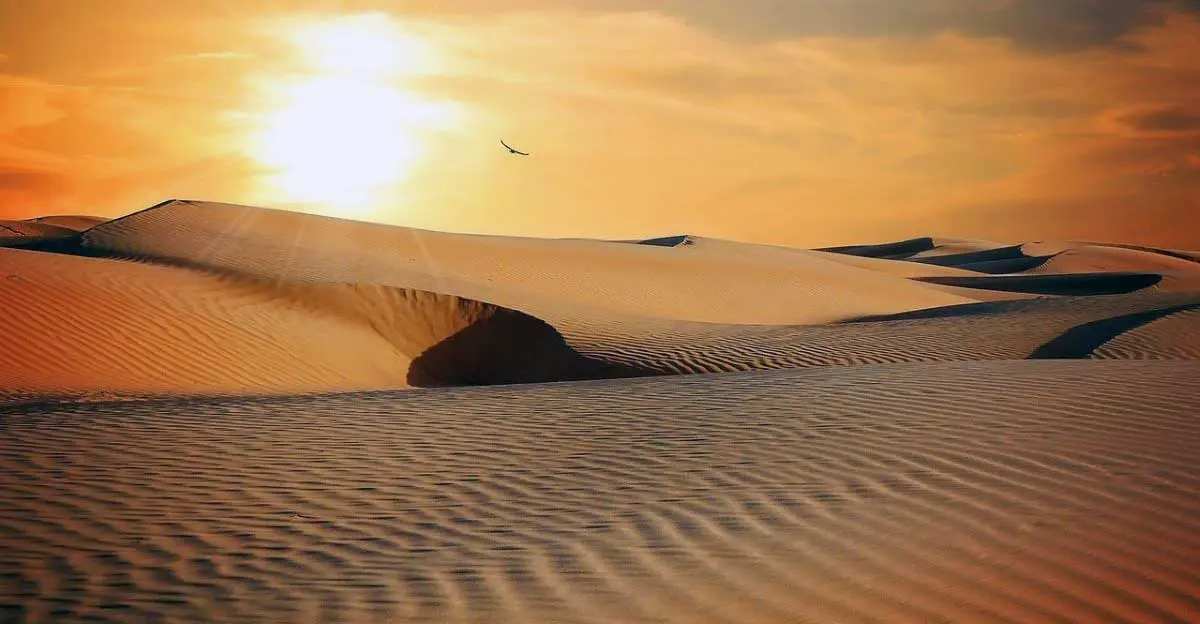 desert landscap dunes
