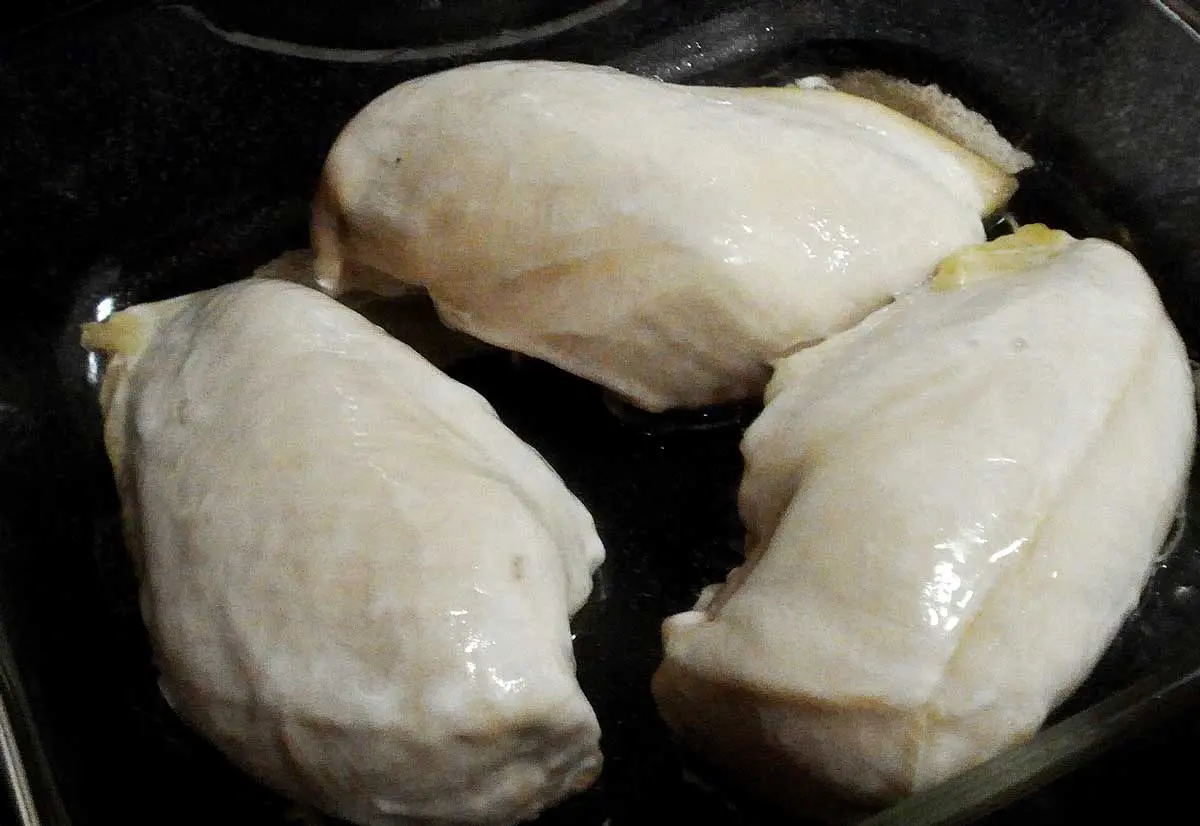 chicken breast for dogs meals