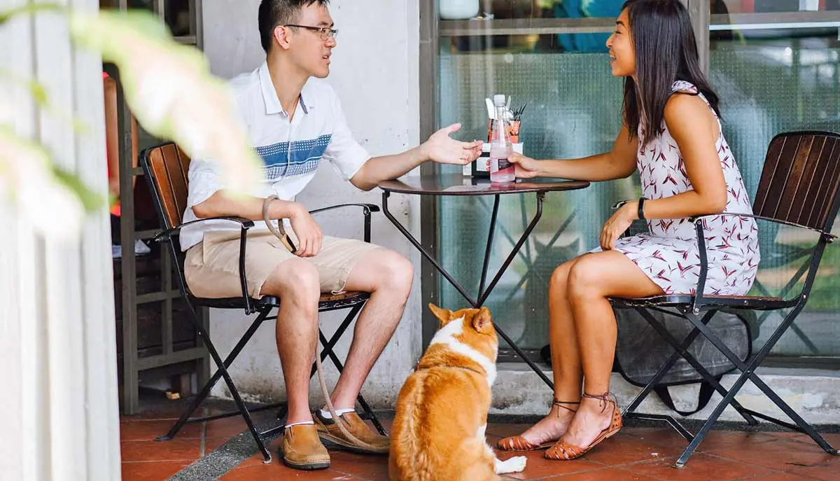 outdoor cafe dog