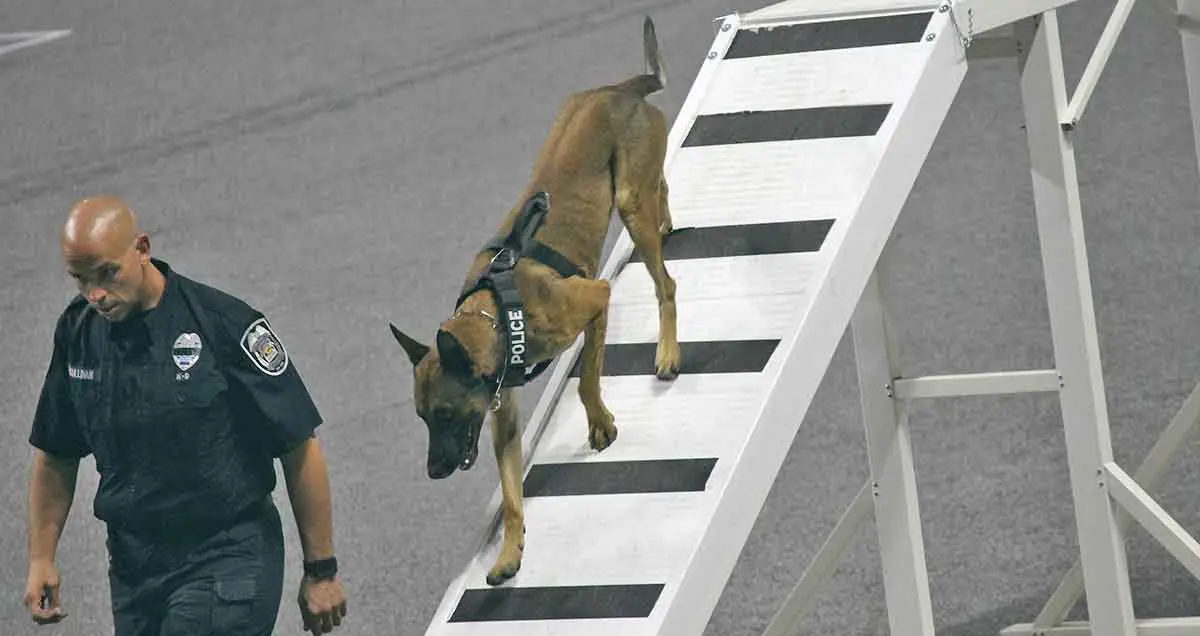 las vega police department canine training