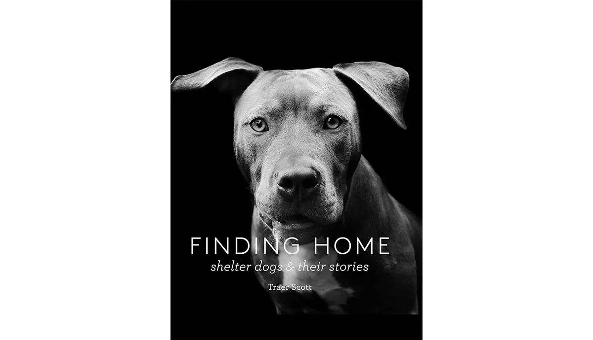 finding home