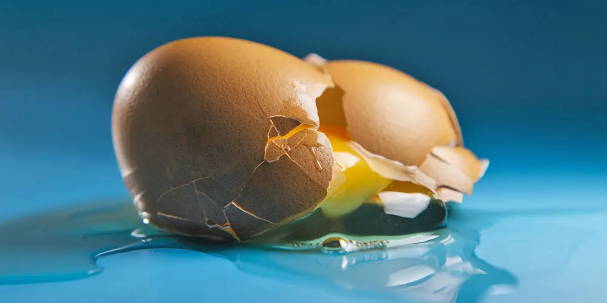 broken cracked raw egg