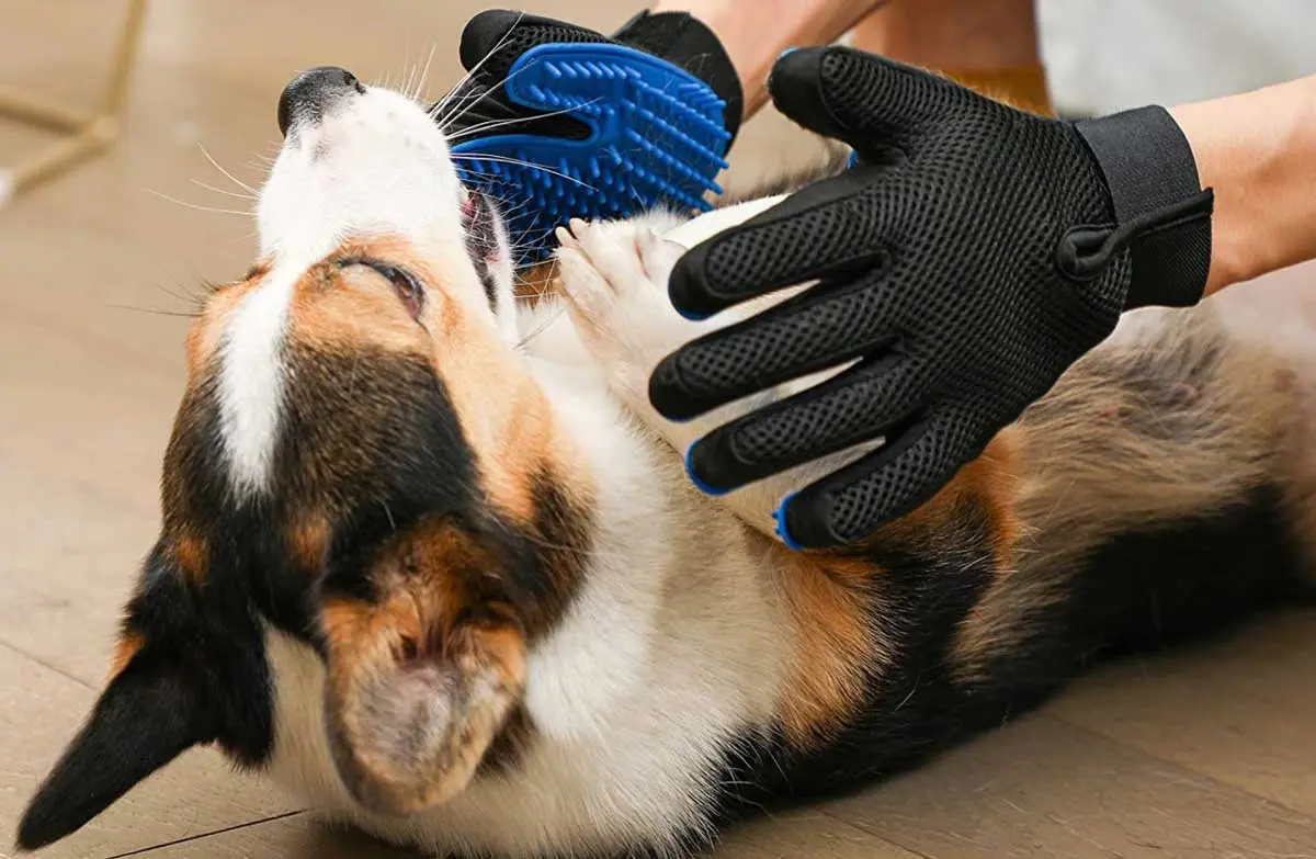 dog grooming gloves