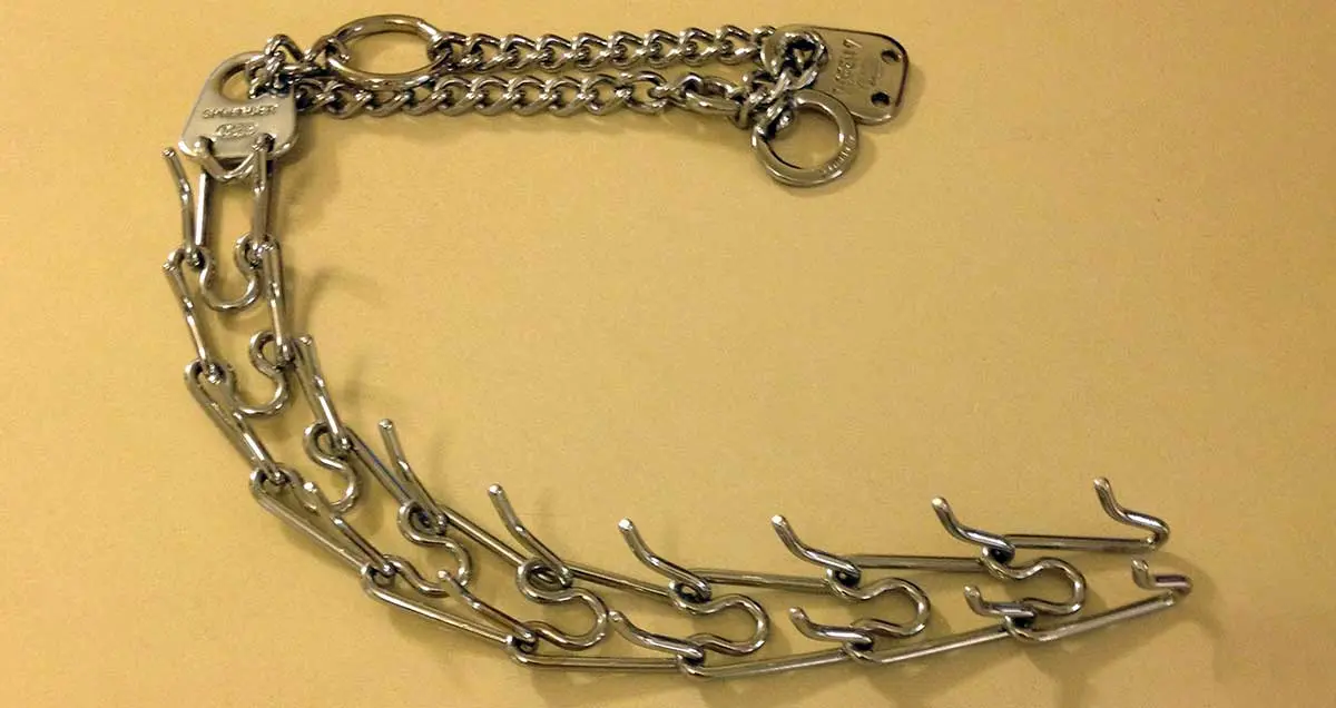 canine prong collar