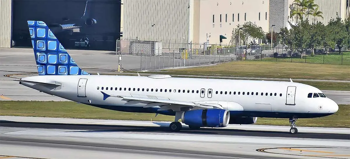 a jetblue plane that carries animals
