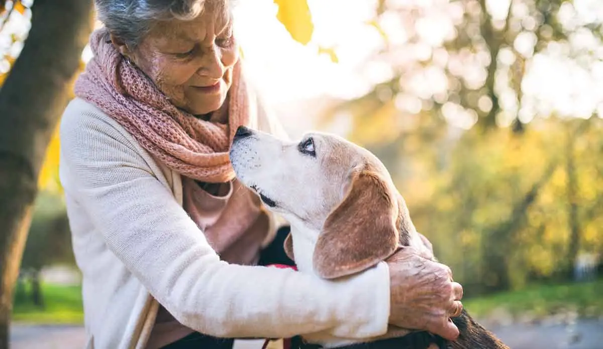 woman in scarf looking lovingly at beagle