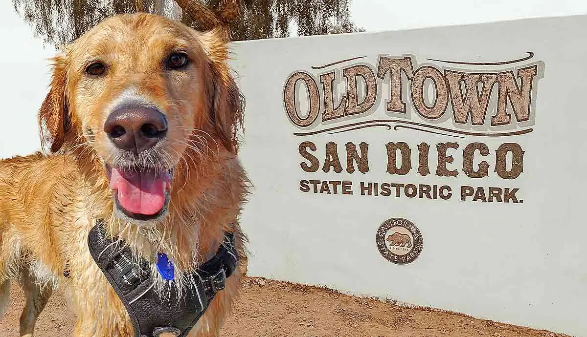 pet friendly places for dogs in san diego