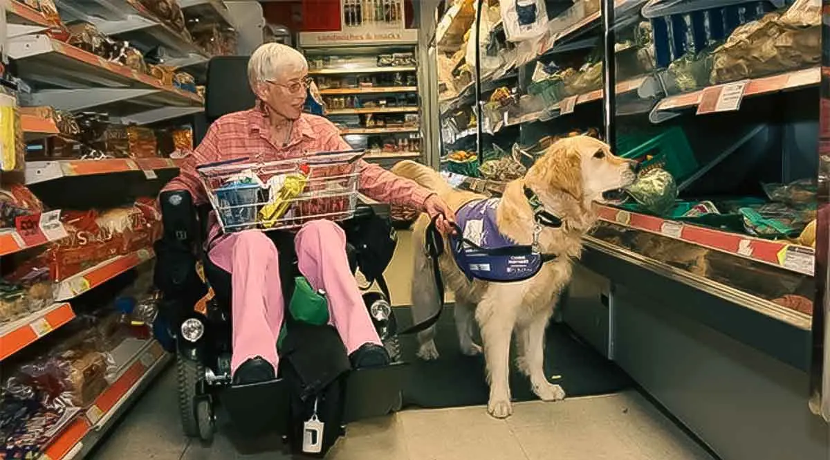 service dog for elderly people