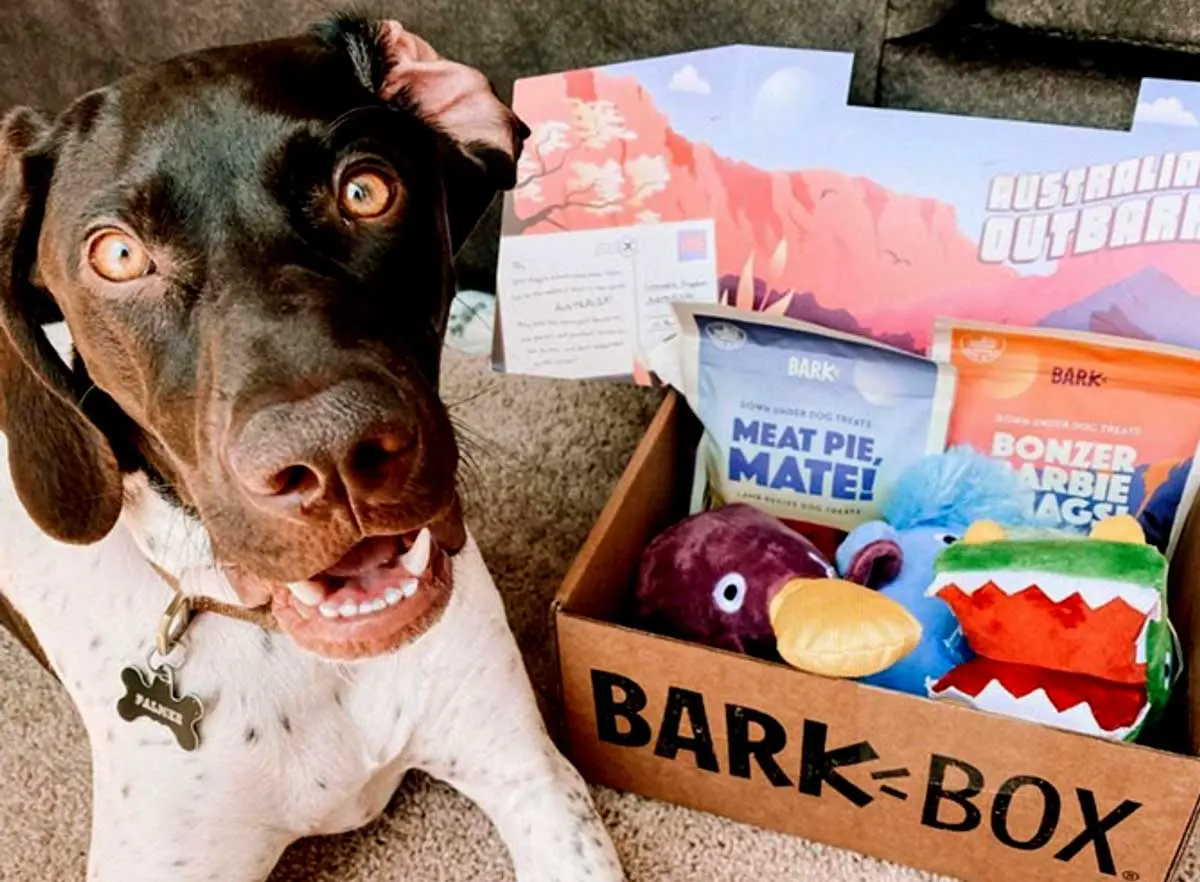 bark box subscription