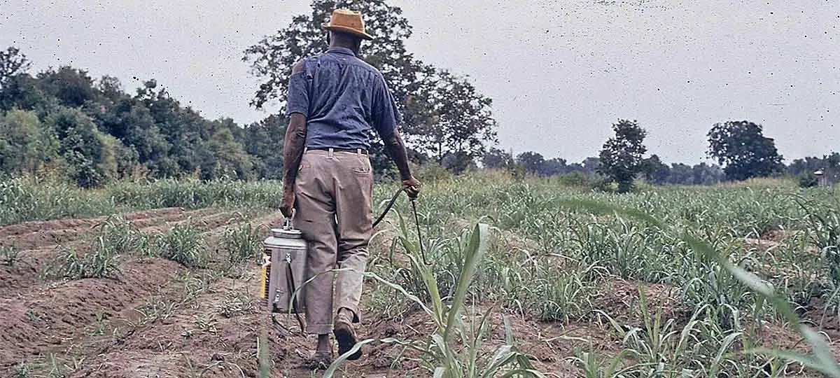 a farm worker using pesticides