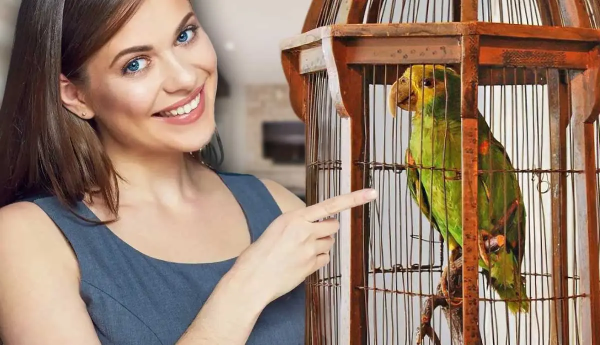 is it immoral to have a pet bird