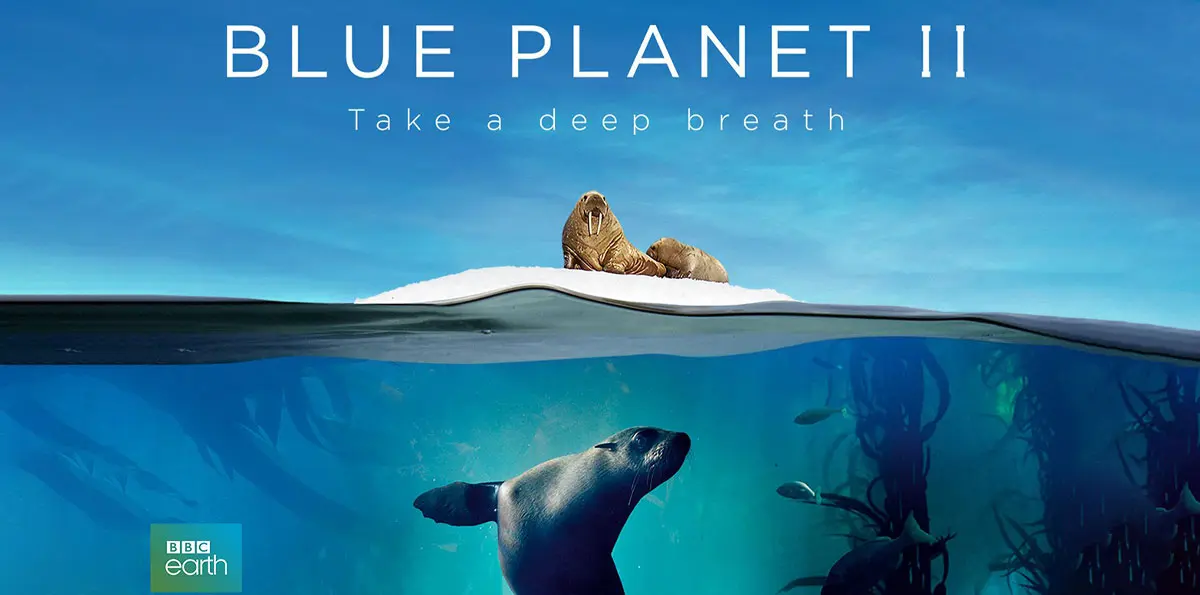 blue planet cover photo seal ocean