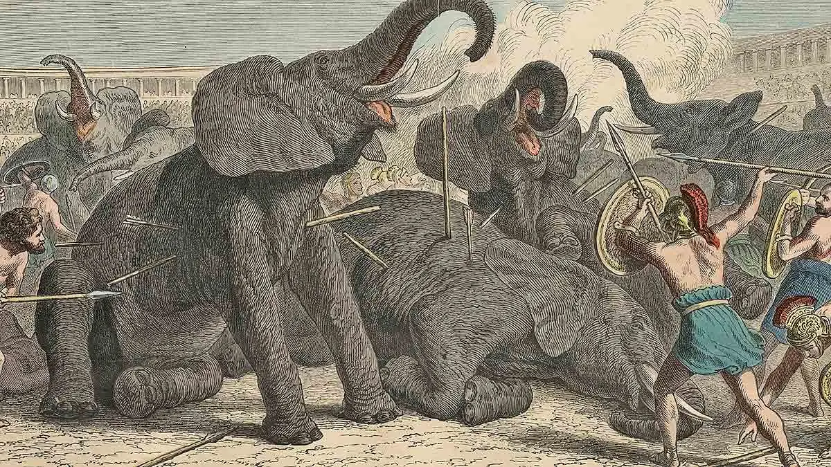 roman elephants in battle