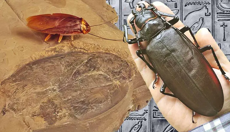 prehistory giant bugs
