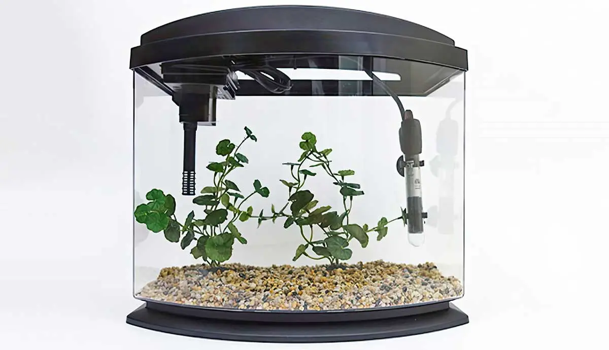 water heater aqueon minibow aquarium 