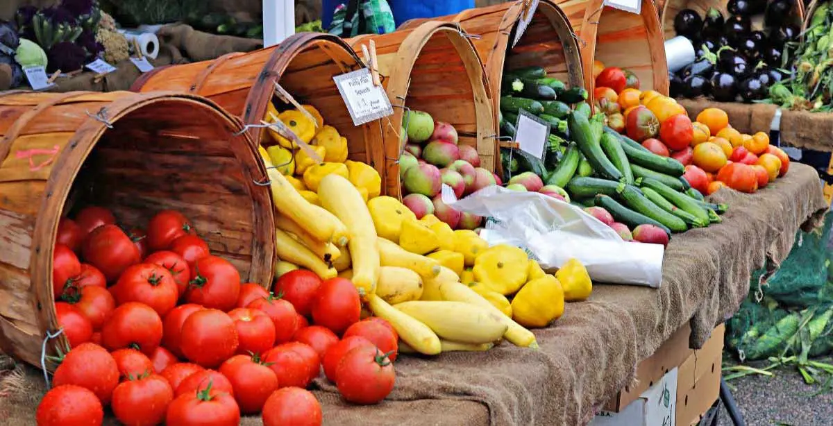 sowa open market boston