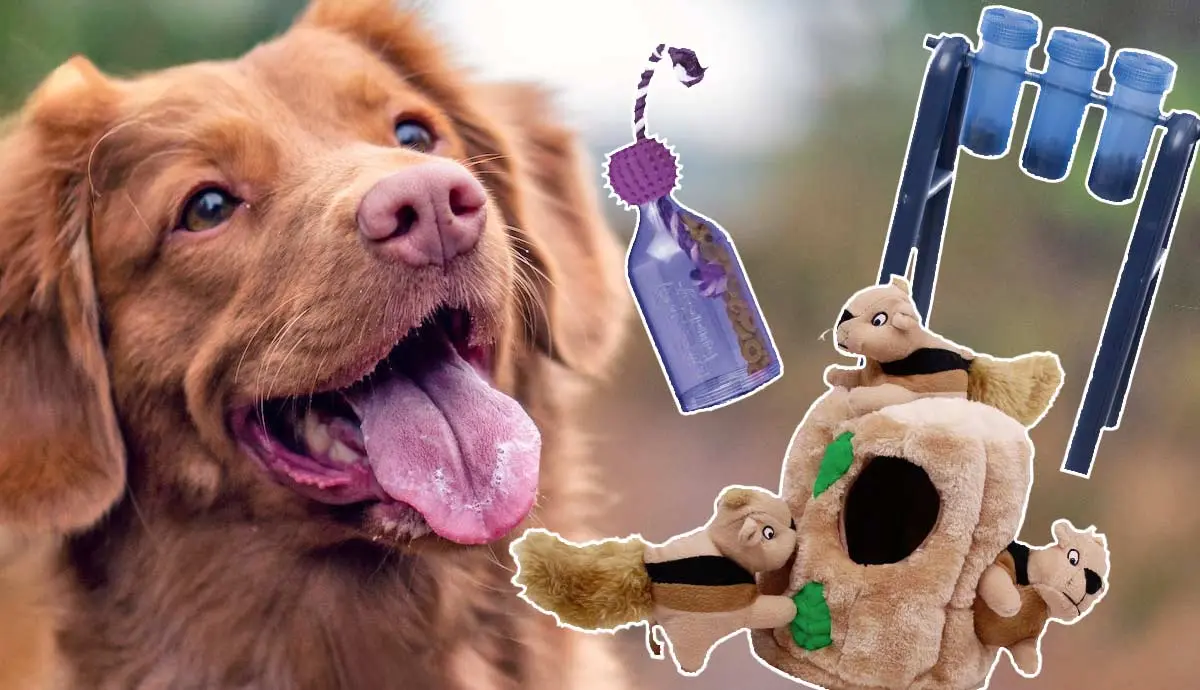 puzzle toys for bored dogs