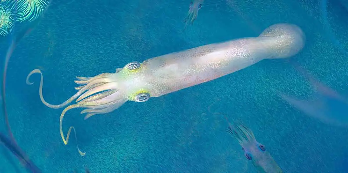 octopus ancestor sea creature