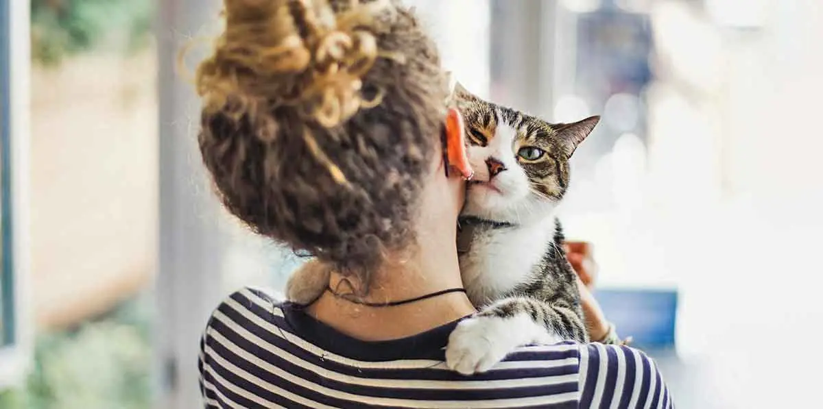 cat cuddling bonding with human