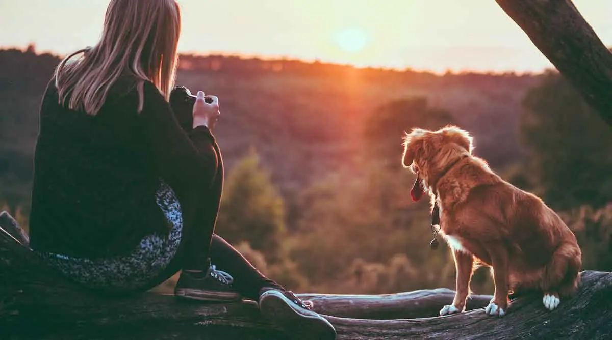 woman sitting beside brown dog watching sunset