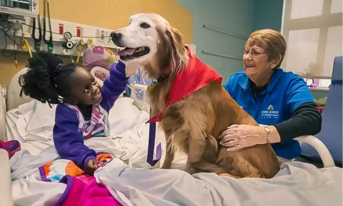therapy dog for kids