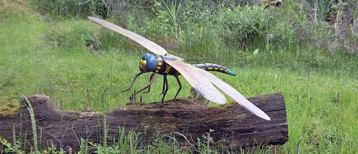 prehistoric giant dragonfly on a log
