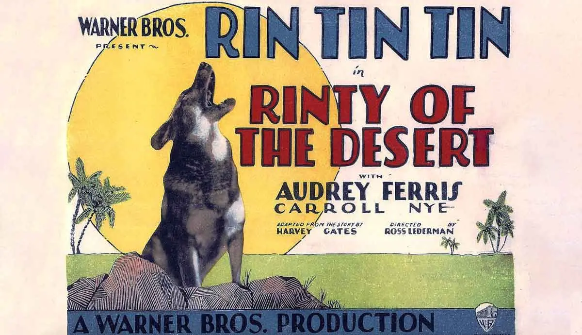 rin tin tin movie poster