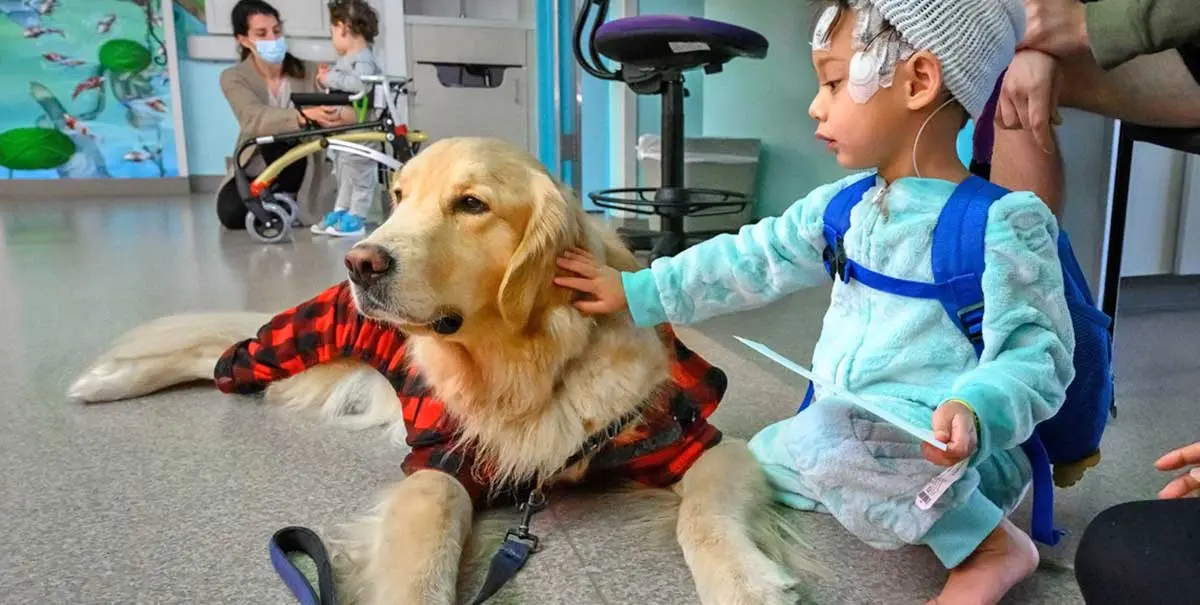 therapy dog hospital with child