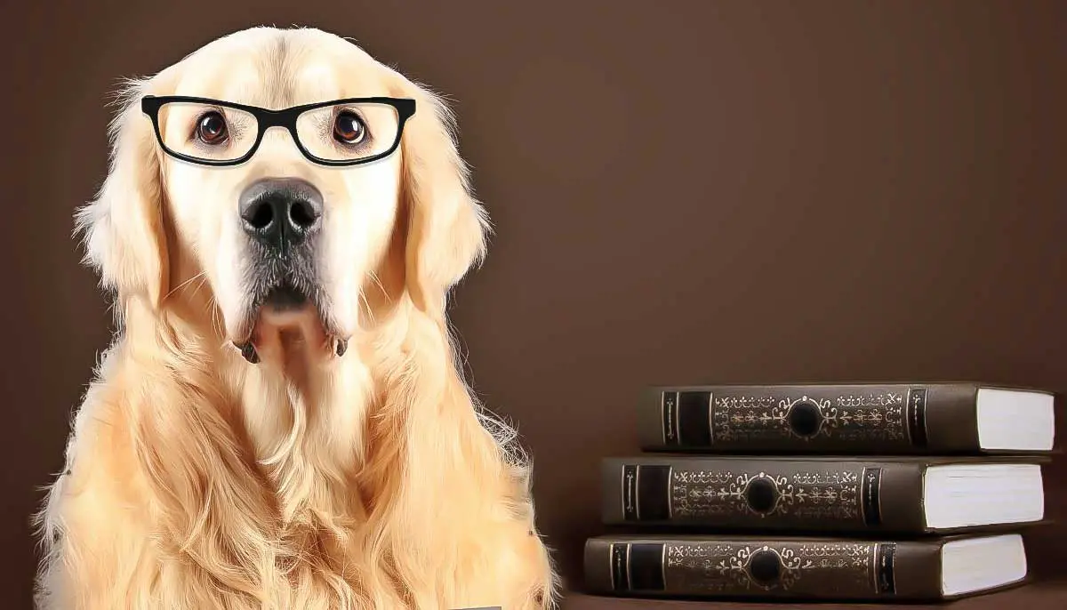 dog wearing glasses and sitting next to a pile of books