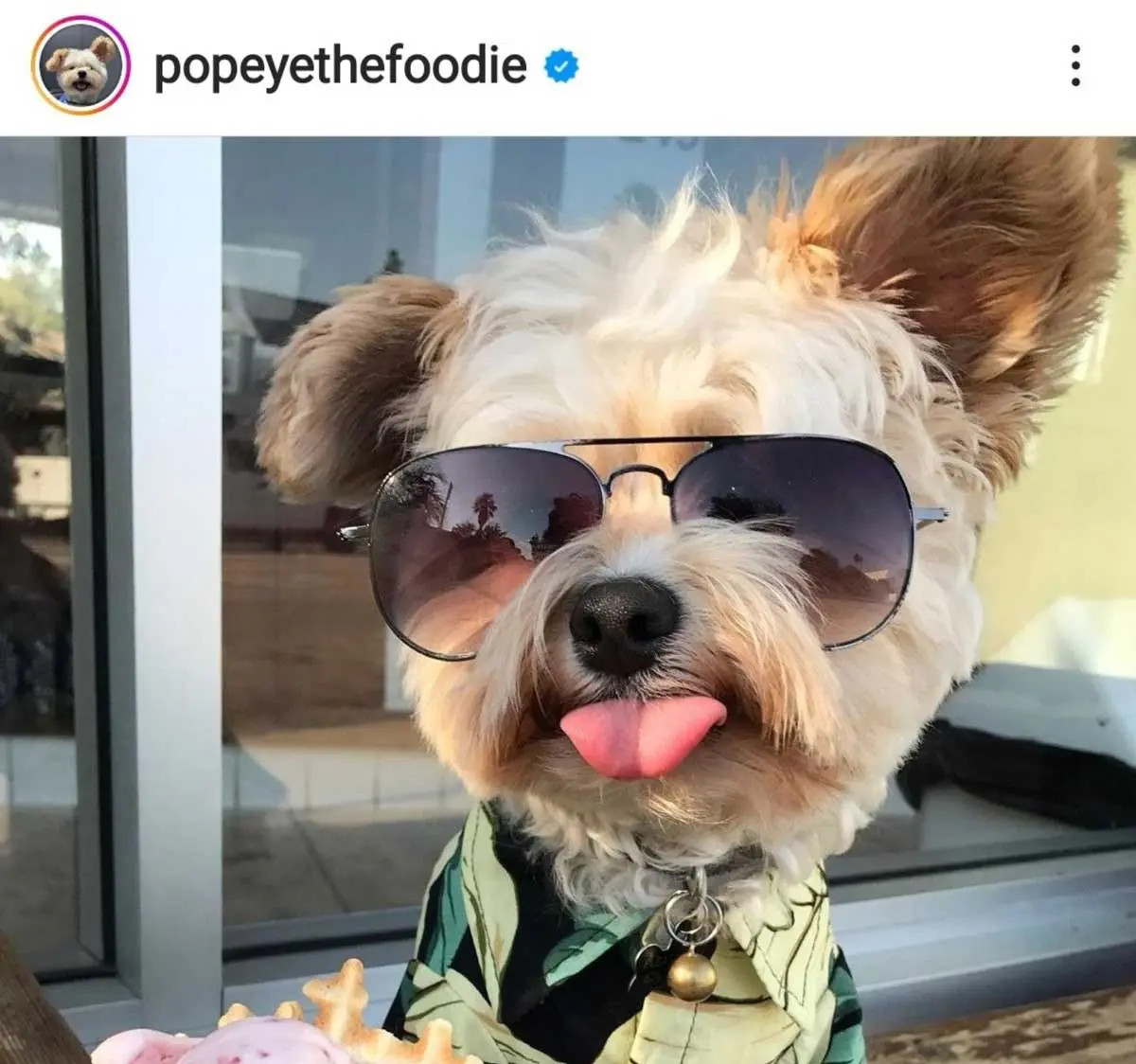 popeye the foodie