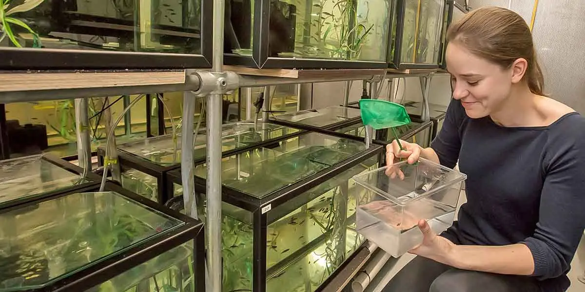 research fish laboratory